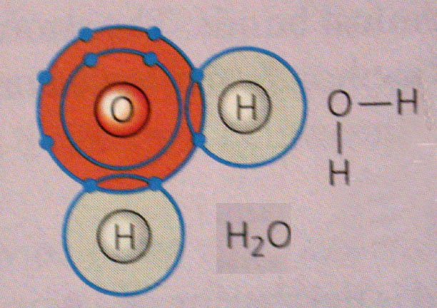Typical Covalent Bond